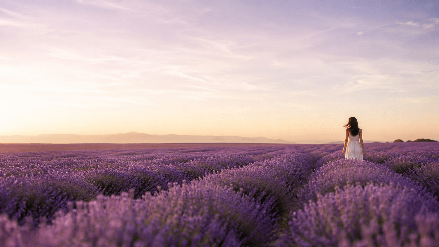 Woman in a white dress walking through a lavender field at sunset.